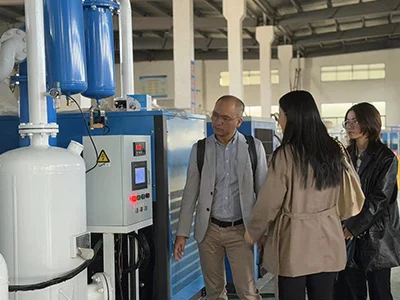 Sistema de nitrógeno de alta pureza apto para uso alimentario para un fabricante de alimentos en Rusia