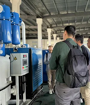 Sistema de nitrógeno de alta pureza apto para uso alimentario para un fabricante de alimentos